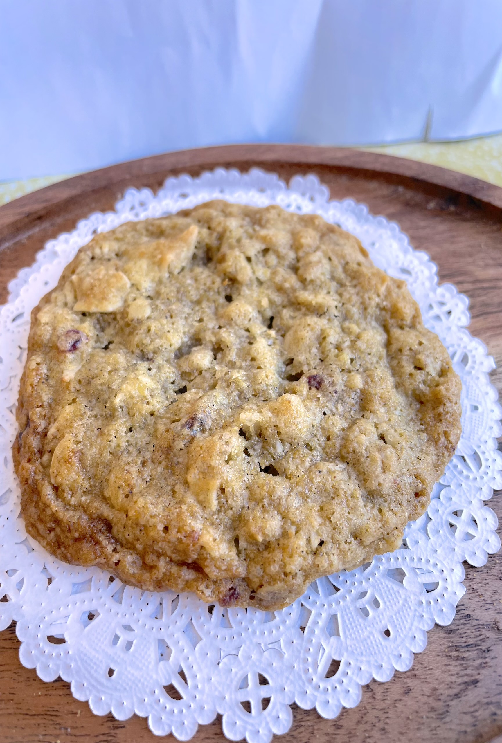 Coconut Cranberry Oatmeal Cookie